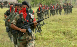 A column of ELN guerrillas seen on the march in this undated file photo. Colombia
