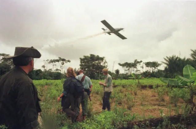 Joe Biden, Donald Trump, US presidential election, Colombia, A Colombian national Police plane sprays glyphosate herbicide, coca crop, eradication, drug trafficking.